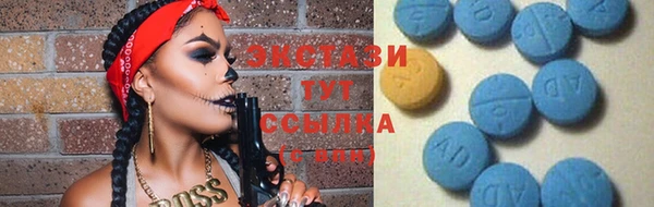 гашик Няндома