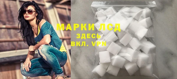 гашик Няндома