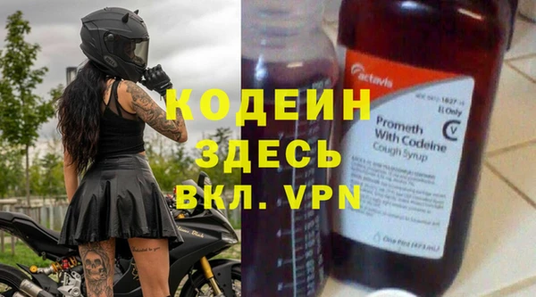 гашик Няндома