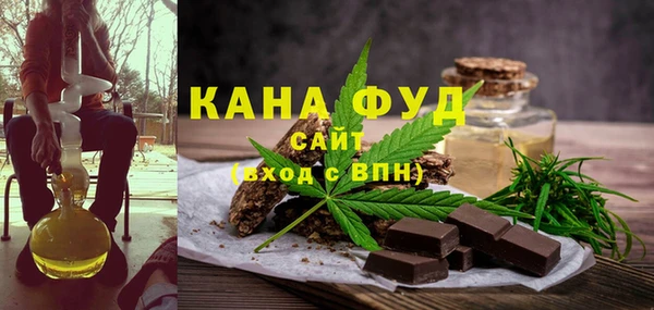 гашик Няндома