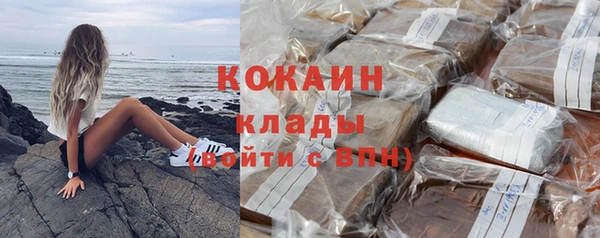 гашик Няндома
