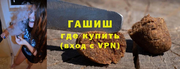 гашик Няндома