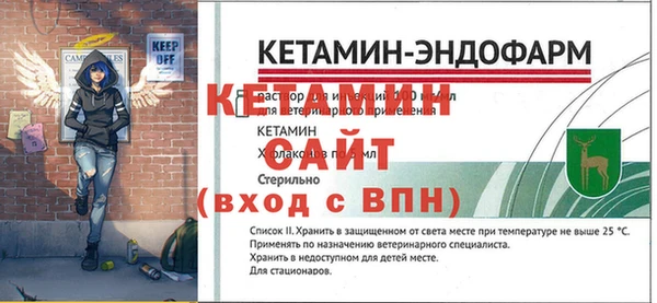 гашик Няндома