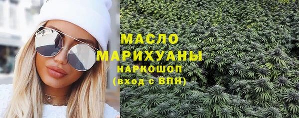 гашик Няндома