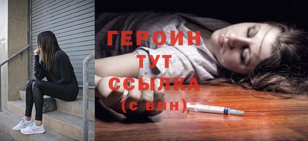 гашик Няндома