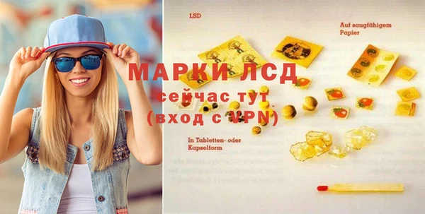 гашик Няндома