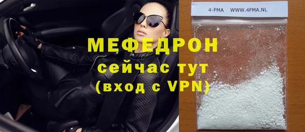 гашик Няндома