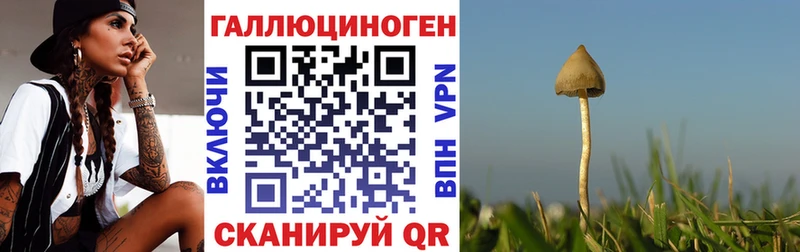 Галлюциногенные грибы GOLDEN TEACHER  Сим 