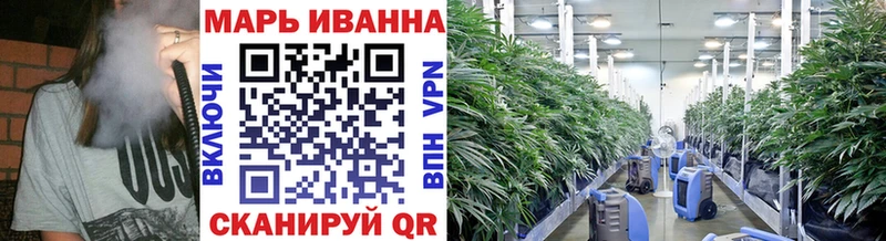 Каннабис MAZAR  Сим 
